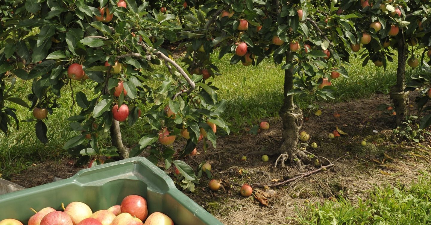  21 Apr 2026 06:32:00 GMT