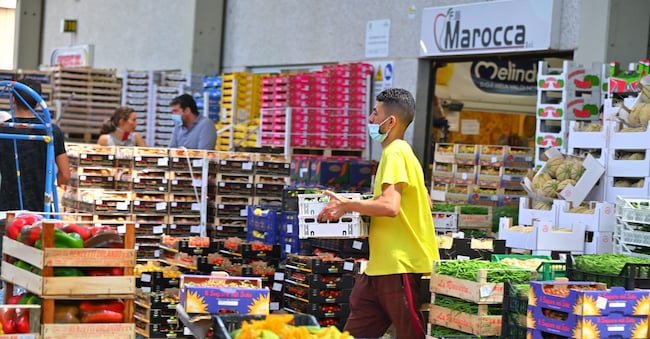 CENTRO AGROALIMENTARE DI ROMA



VERDURA VERDURE FRESCHE FRESCA







CARICO SCARICO FRUTTA 



MERCATO ALL'INGROSSO VENDITA







CAR

OPERATORI OPERATORE CARICO SCARICO IMAGOECONOMICA