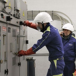 immagine non disponibile