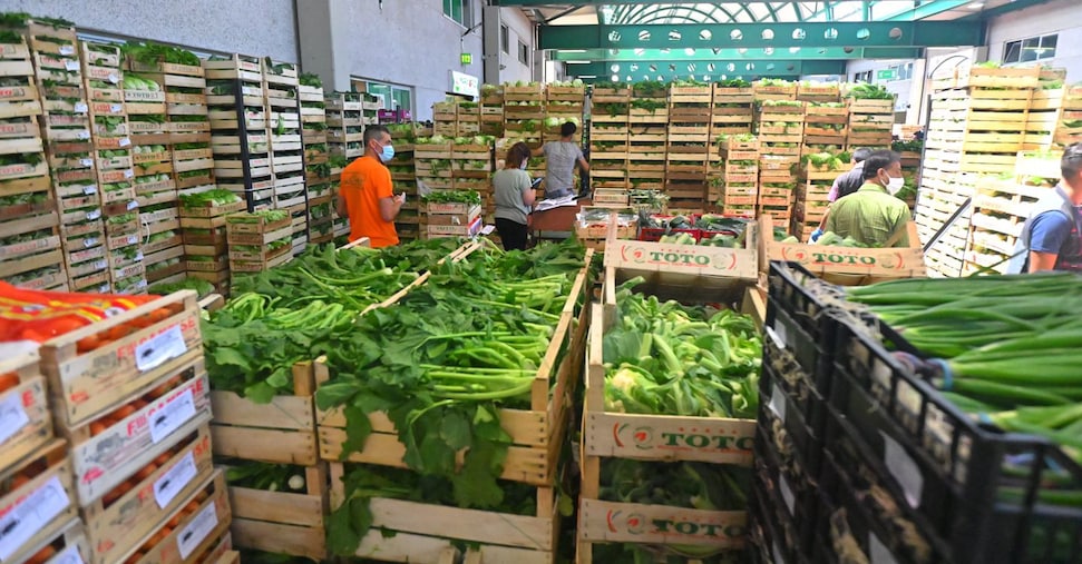 Nasce la Consulta dei mercati all’ingrosso per creare un sistema logistico interconnesso