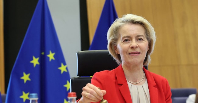 La presidente della Commissione europea Ursula von der Leyen  REUTERS