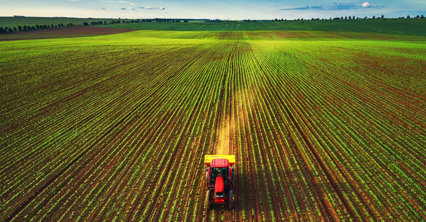 Terreni agricoli ai giovani under 41: al via il bando per gli incentivi. Ecco come fare