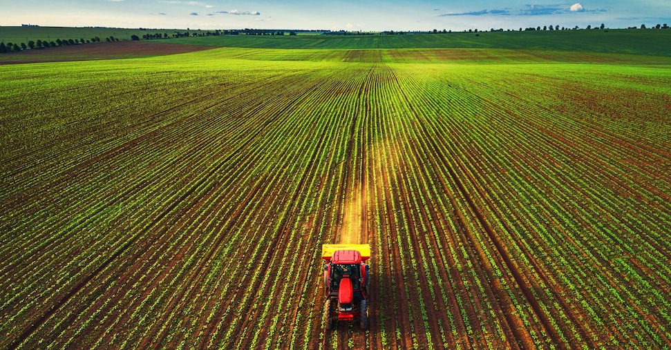 Terreni agricoli ai giovani under 41: al via il bando per gli incentivi. Ecco come fare