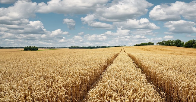  rangizzz - stock.adobe.com