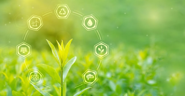  LariBat - stock.adobe.com