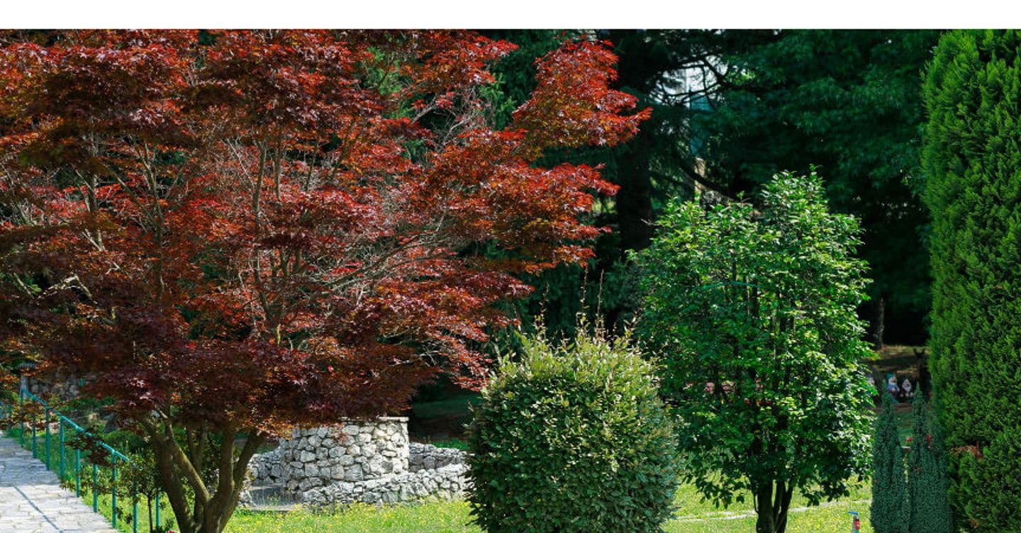 Treviso: bimba di 18 mesi rimane incastrata nel tosaerba, è in pericolo di vita