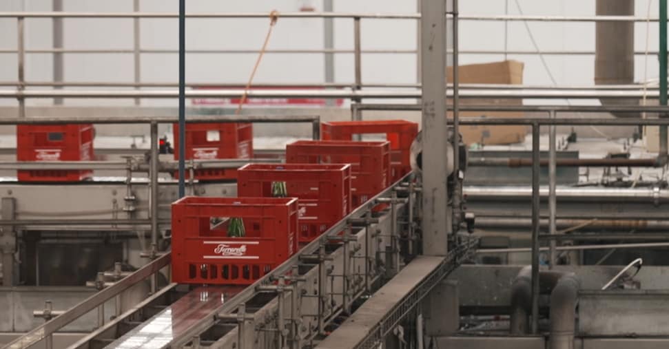 Ferrarelle sbarca nei supermercati degli Stati Uniti con le acque aromatizzate