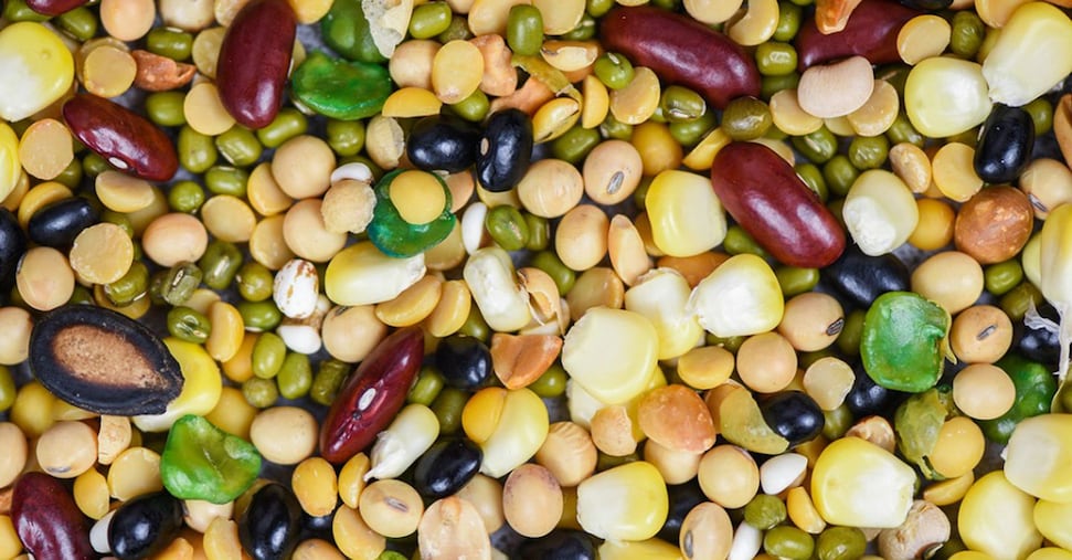 Agcm multa Amica Chips, Pata e Preziosi Food per cartello negli snack salati a marchio privato