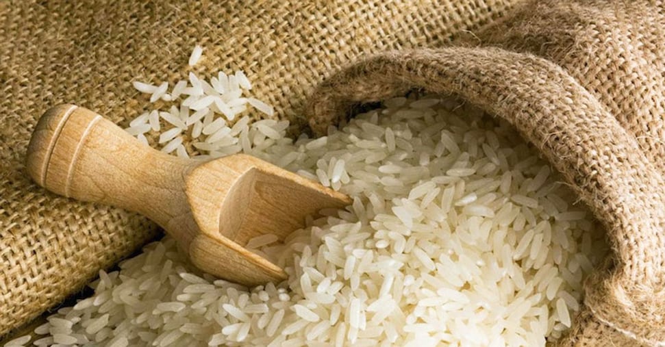 Riso, la Ue non cambia le soglie per l’import a dazio zero. I produttori: danno da 4 miliardi