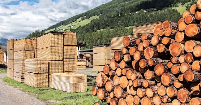 Pile di legname di pino e abete in una segheria sulle Alpi italiane karapiru - stock.adobe.com