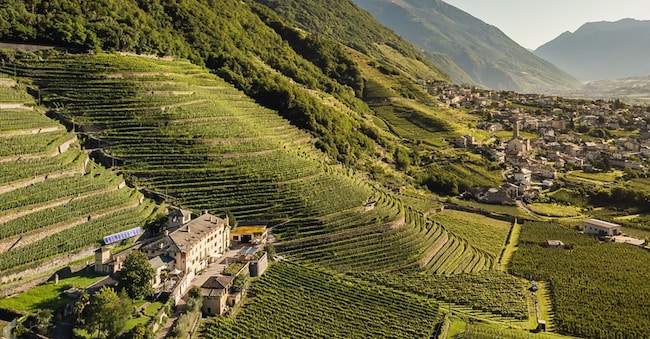  Valtellina Ecomuseo Terrazze Retiche di Bianzone Gatta