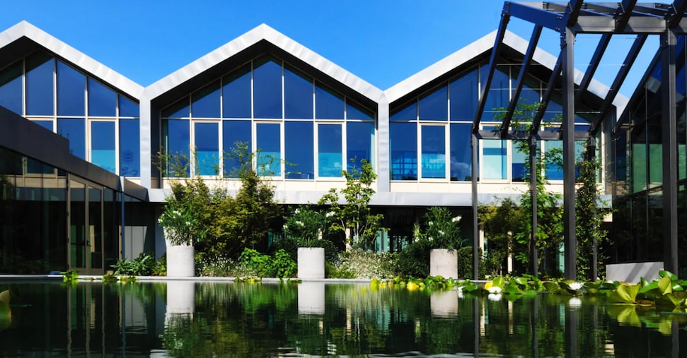 Il gruppo Davines chiude il 2025 con un fatturato di 307 milioni di euro (+6,4%)