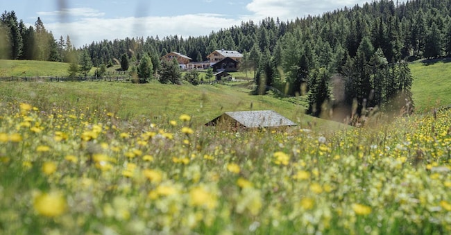  Rio Pusteria, Malghe in Fiore