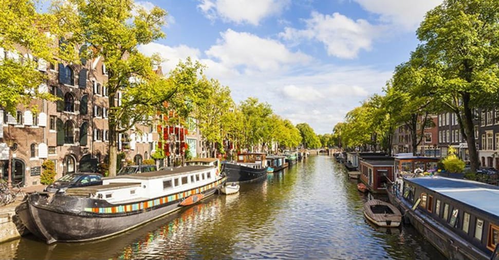Amsterdam vieta la pubblicità pubblica di carne e combustibili fossili