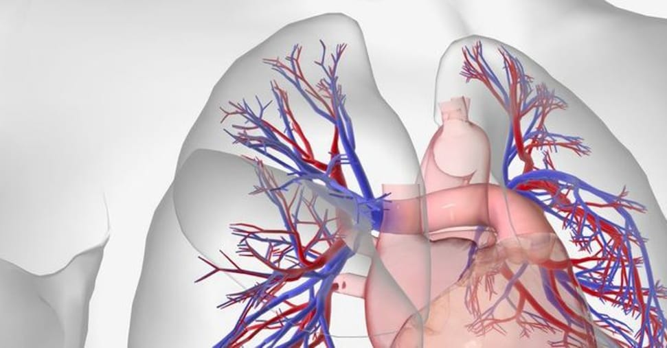 Ipertensione arteriosa polmonare: ecco perché ascoltare il respiro migliora diagnosi e cure