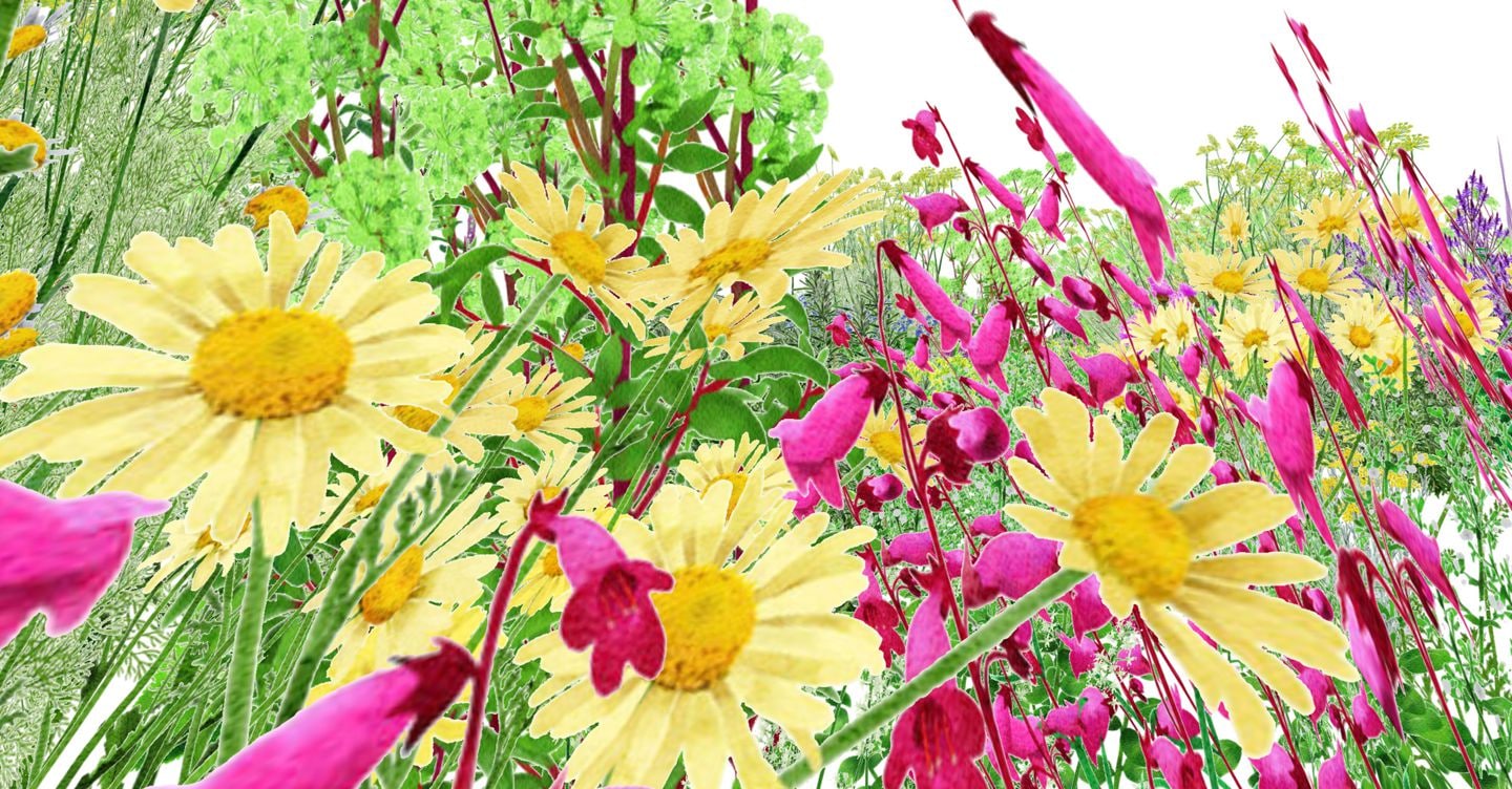 Quando l’arte è un giardino: tutto cominciò a Venezia vent’anni fa