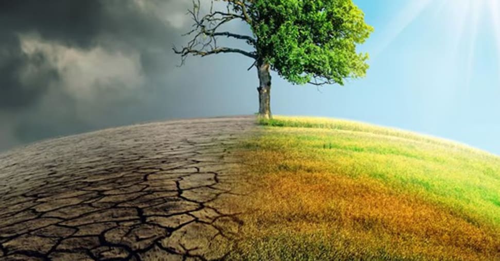 Nuovo record di CO2 nell’atmosfera