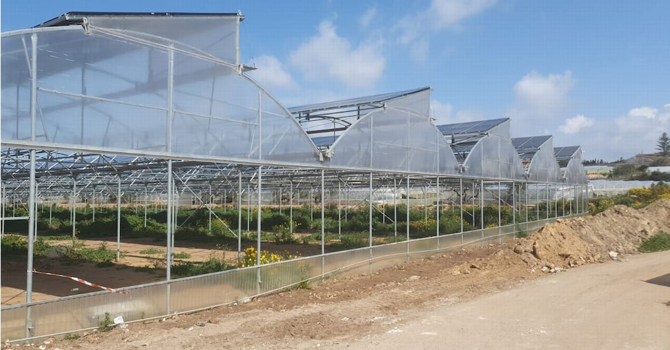 Serre e fotovoltaico, dalla Sicilia il nuovo modello per l’agricoltura green