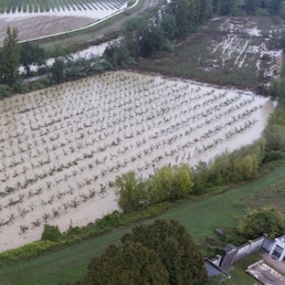 Campi allagati nei pressi di Castel Bolognese (Ravenna) 19 settembre 2024 ANSA/MAX CAVALLARI -- Flooded fields near Castel Bolognese (Ravenna) 19 September 2024 ANSA/MAX CAVALLARI ANSA