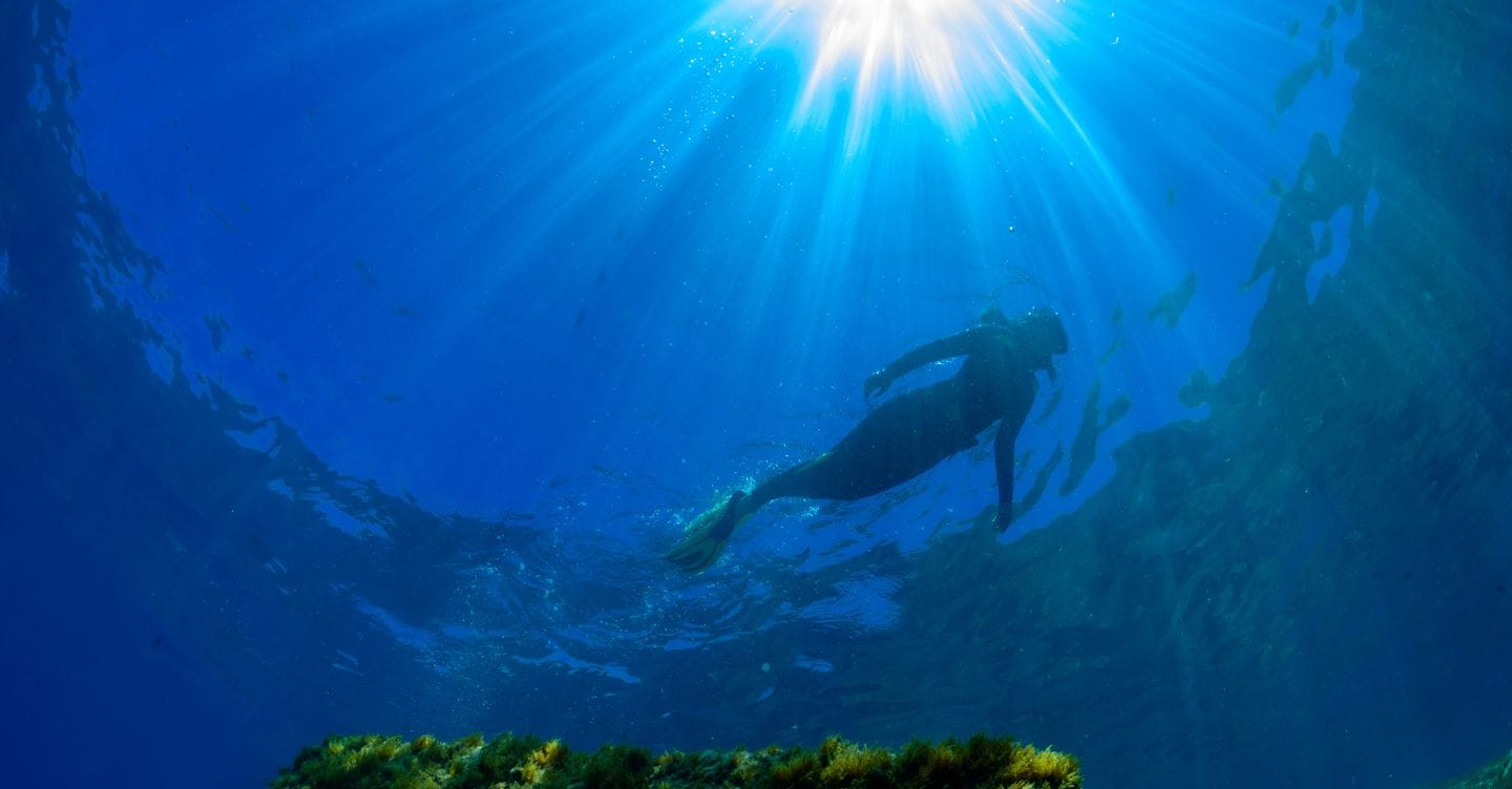 Legge sul mare: nascono le professioni di istruttore e guida subacquea