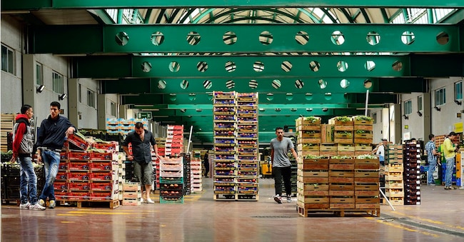 Centro Agroalimentare Roma
