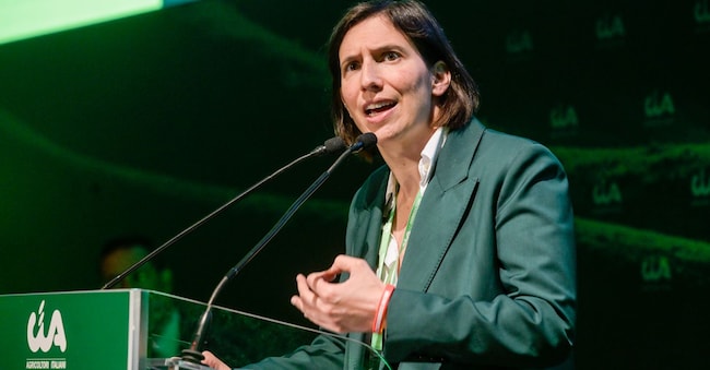 Segretaria del Pd. Elly Schlein. (LaPresse)