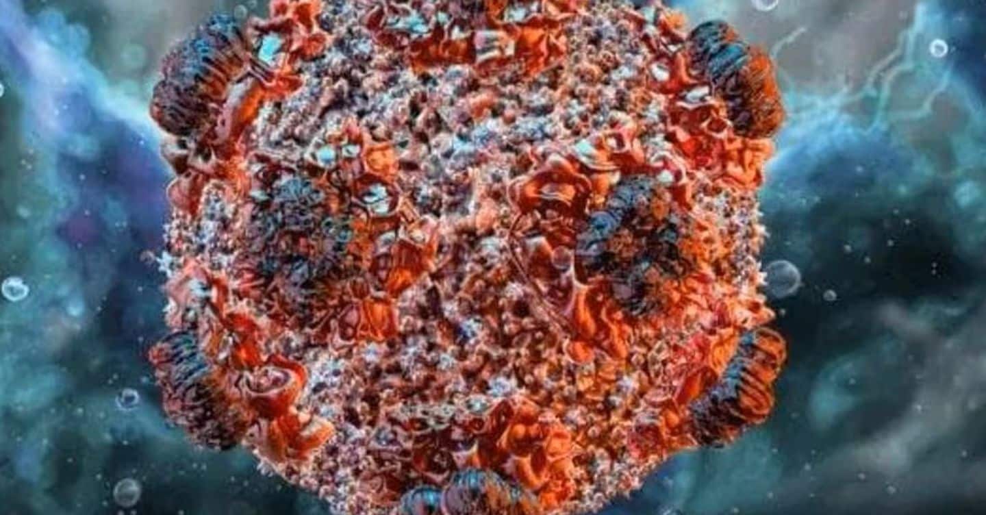 Hantavirus, tutti negativi i test su casi sospetti a Milano, Villa San Giovanni e Messina
