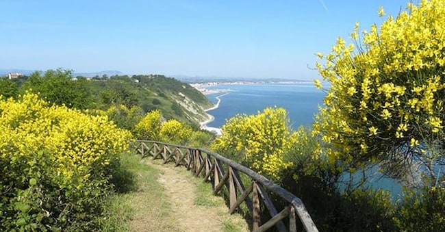 Parco Monte San Bartolo 