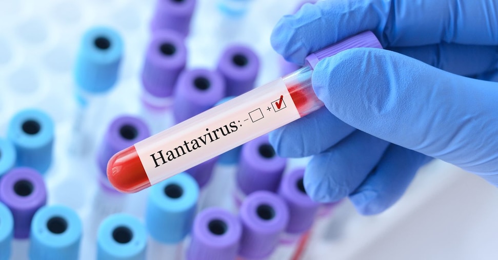 Hantavirus, Schillaci: «Rischio molto basso ma in ogni caso il Piano pandemico funziona»