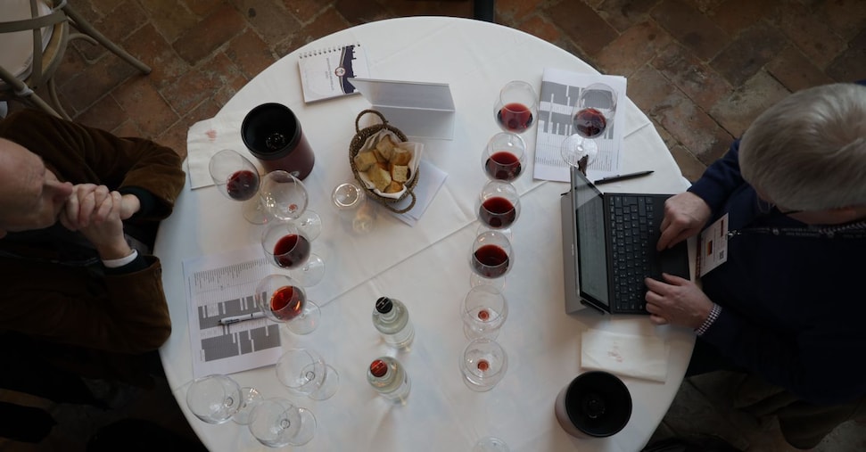 Al vino italiano i dazi Usa sono costati 180 milioni