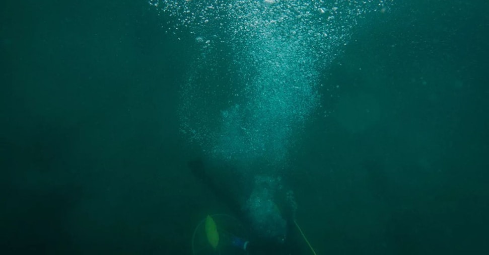 Cinque italiani morti alle Maldive durante un’immersione
