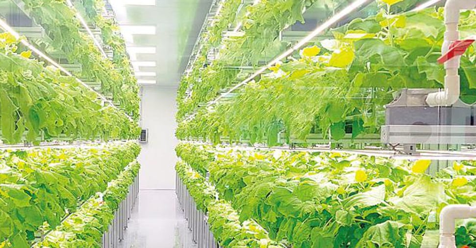 Per l’agroalimentare del futuro più investimenti su agritech, digitale e nuovi ingredienti