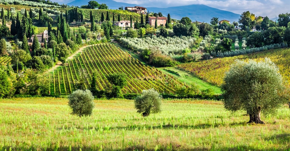 Agriturismo, energia e vendite dirette: così l’Italia è leader in Europa per valore aggiunto agricolo