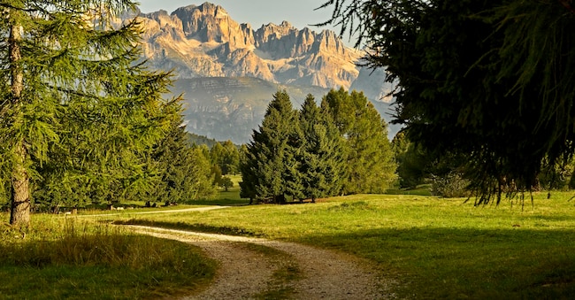 Monte Bondone-Viote-Panorama sulle Dolomiti di Brenta CarloBaroni