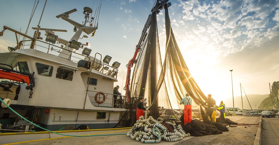 al via le domande dei pescatori per le indennit224 del fermo 2025 da Ilsole24ore.com al via le domande dei pescatori per le indennit224 del fermo 2025