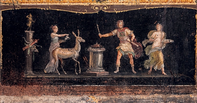 Casa dei Vettii. Scena sacrificale in cui una cerva va verso l’altare; a sinistra, una colonna con la statua di Artemide: in tutte le culture arcaiche del Mediterraneo l’uccisione di un animale a scopo alimentare era legata ad attività rituali Tutte le immagini del Parco Archeologico di Pompei sono su concessione del Ministero della Cultura