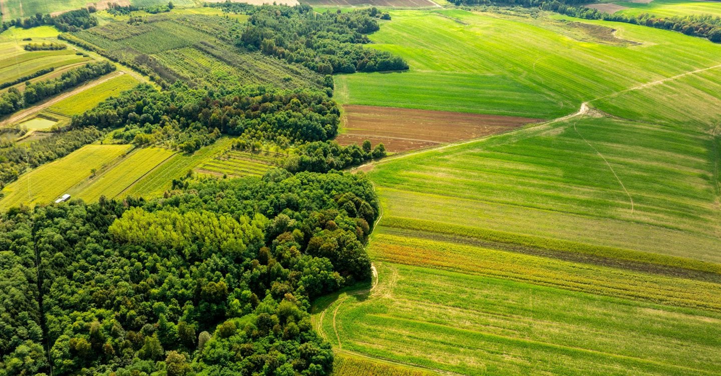 Regolamento Ue sul ripristino della natura: l’Italia si allinea con il Dlgs 80/26