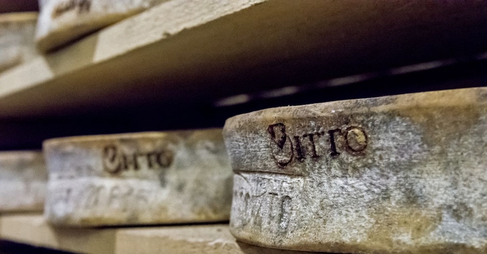 Dalla difficile sopravvivenza del Bitto un podcast per valorizzare «Una montagna di formaggi» Dalla difficile sopravvivenza del Bitto un podcast per valorizzare «Una montagna di formaggi»