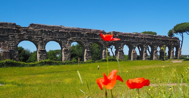 Il bucolico paesaggio che circonda le arcate degli antichi acquedotti di Roma