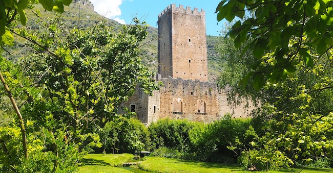 Nel giardino botanico di Ninfa