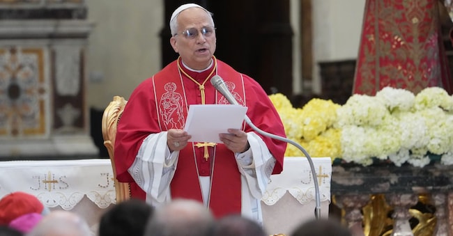 Papa Leone XIV tiene il suo discorso durante l'incontro con il clero, i religiosi e le famiglie delle vittime dell'inquinamento ambientale nella Cattedrale di Santa Maria Assunta ad Acerra, nei pressi di Napoli, sabato 23 maggio 2026. (AP Photo/Andrew Medichini) APN