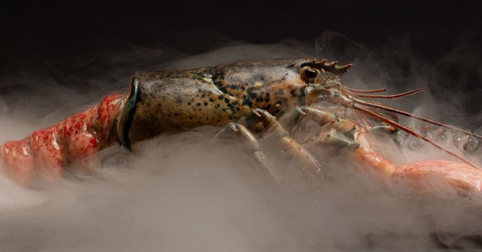 Longino & Cardenal, un Mercato del Pesce per crescere in un business da oltre un miliardo Longino & Cardenal, un Mercato del Pesce per crescere in un business da oltre un miliardo