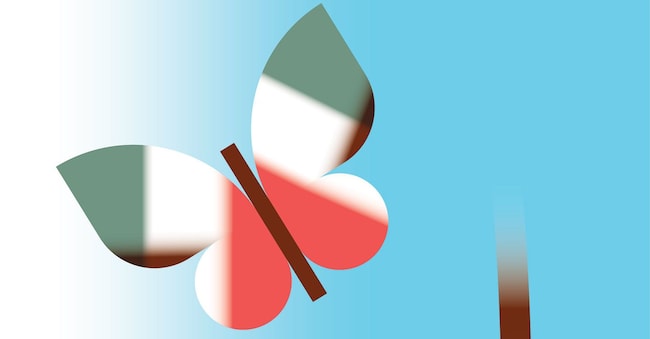 Illustrazione di Chiara Morra
