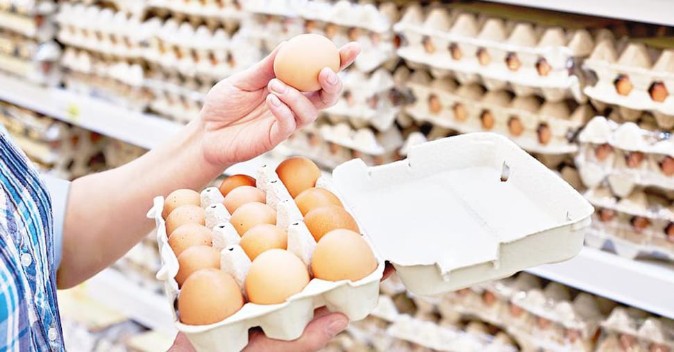 Uova, ecco perché crescono i consumi, i prezzi e anche le importazioni