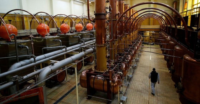 La distilleria Cointreau a Saint-Barthelemy-d'Anjou, vicino Angers, in Francia  REUTERS