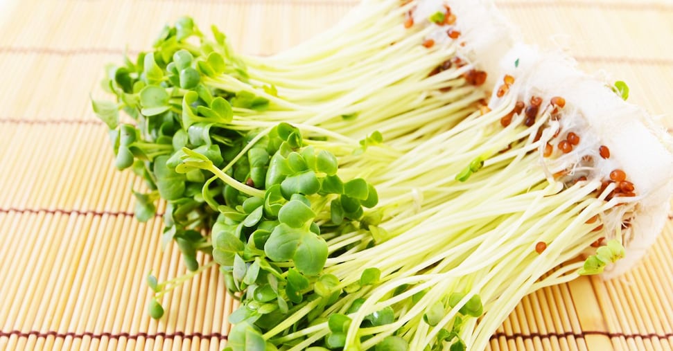I germogli freschi sono tra gli alimenti più a rischio di contaminazione batterica?