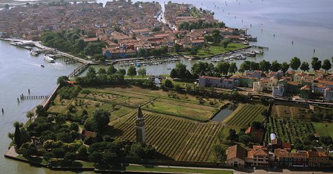 Fra terra e mare. Vista di Venissa, sull’isola di Mazzorbo