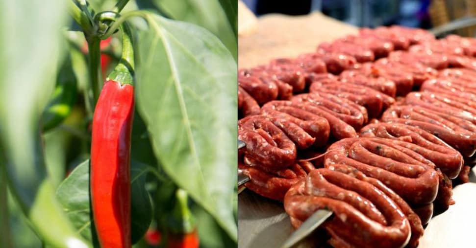 Peperoncino di Calabria  e Zampina di Sammichele di Bari: ufficiali le due nuove Igp