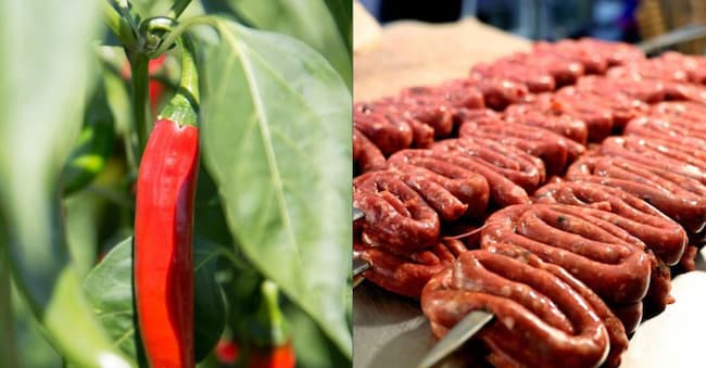 Peperoncino di Calabria Igp e Zampina di Sammichele Igp