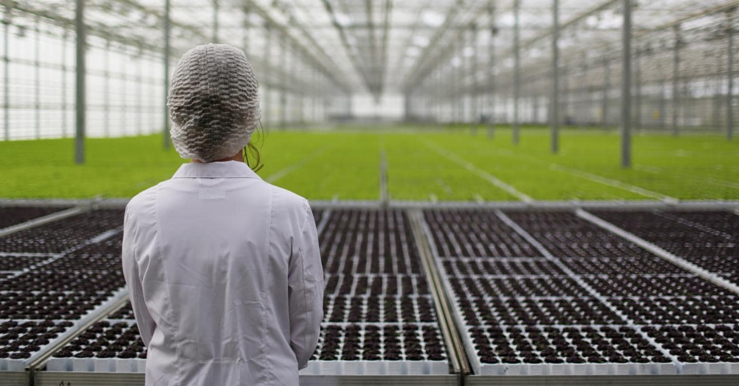 Immagine associata alla notizia: Nuove biotecnologie, il voto del Parlamento europeo sulle Tea che potrebbe rivoluzionare l’agricoltura